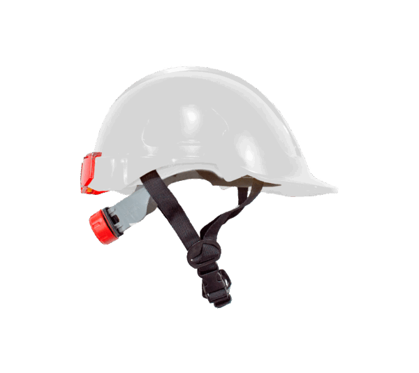SKU CA-P-D31
